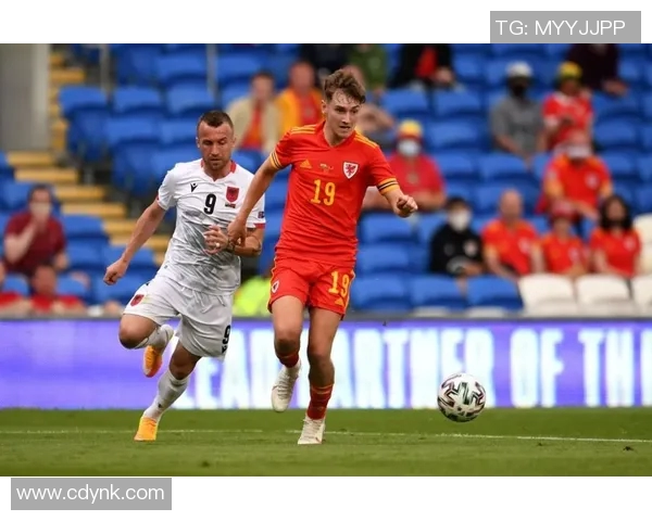 乌克兰与意大利国家队大名单对比分析及球员表现预测